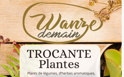 Trocante de plantes